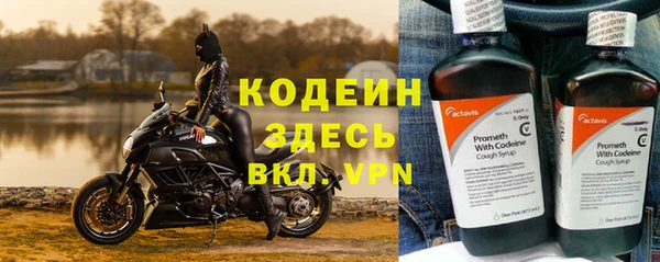 индика Баксан