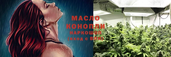 индика Баксан