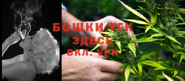 индика Баксан