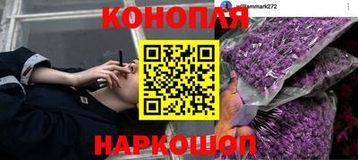 а пвп мука Бийск