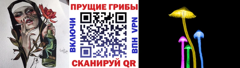 закладка  Гудермес  shop официальный сайт  Галлюциногенные грибы MAGIC MUSHROOMS 