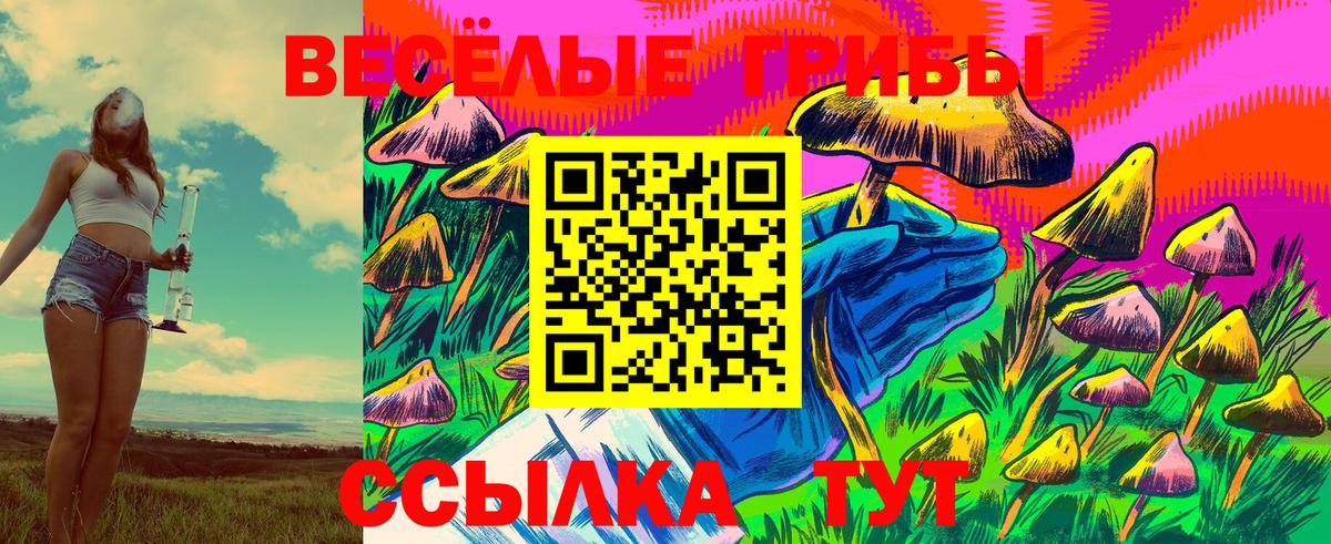 Псилоцибиновые грибы прущие грибы Гудермес