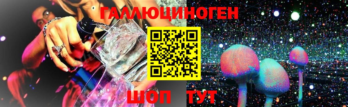 Гудермес  Псилоцибиновые грибы Magic Shrooms  Вход с VPN 