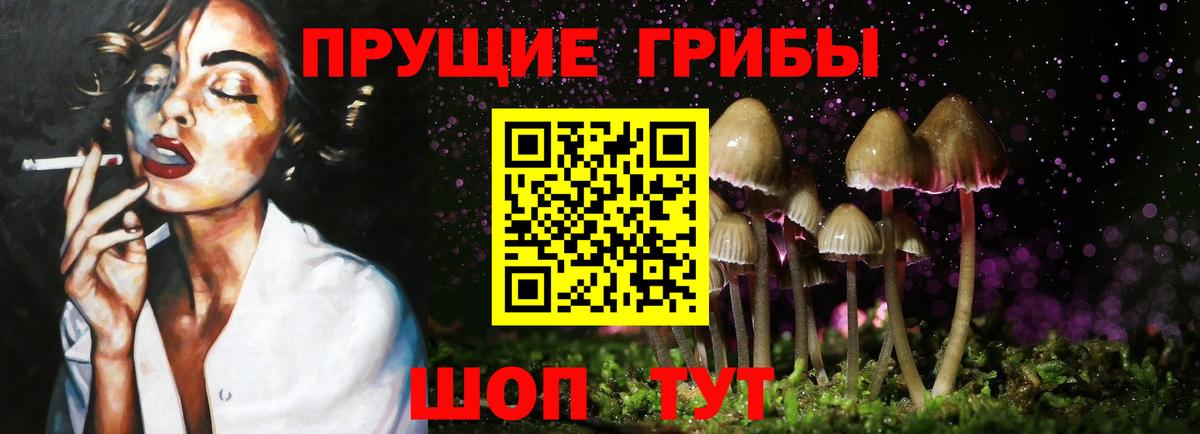 Галлюциногенные грибы Psilocybine cubensis  Гудермес  Псилоцибиновые грибы Psilocybe 